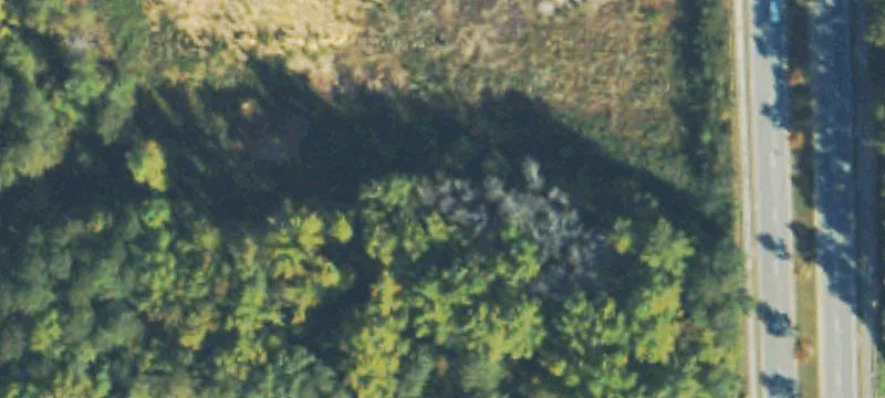 Developable Land with Creek