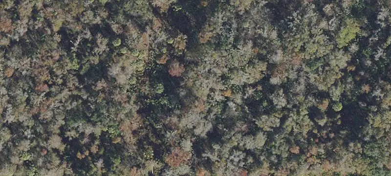 Partially Cleared Residential Land Parcel