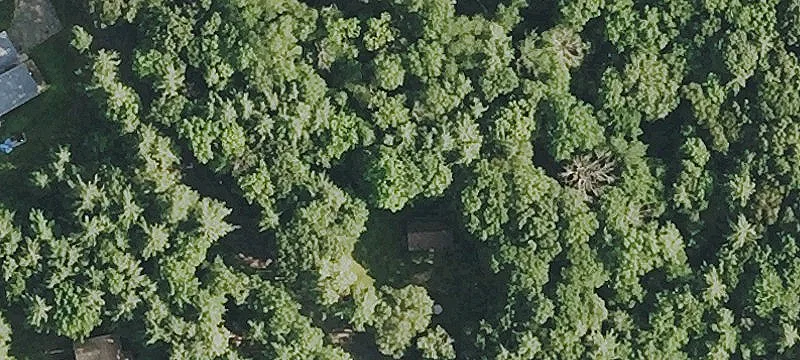 Residential Building Lot Acreage
