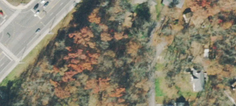 Wooded Retirement Community Lot