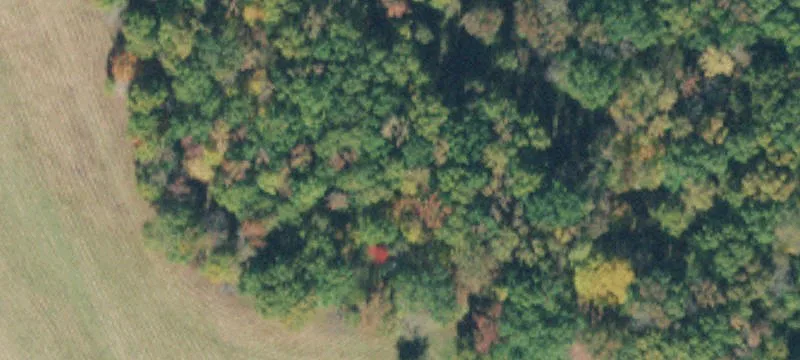 Level Farmland with Creek