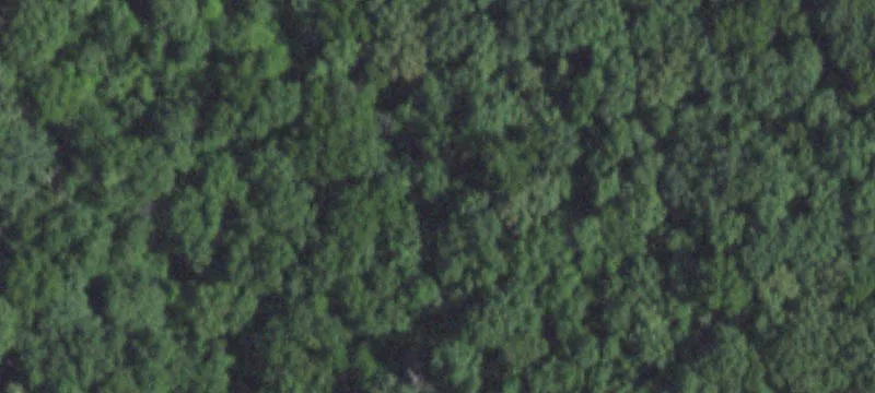 Forested Residential Lots Package