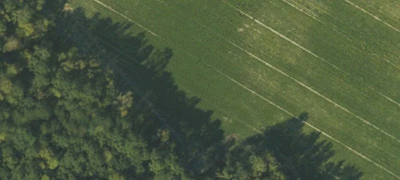 Agricultural Development Land with Pond