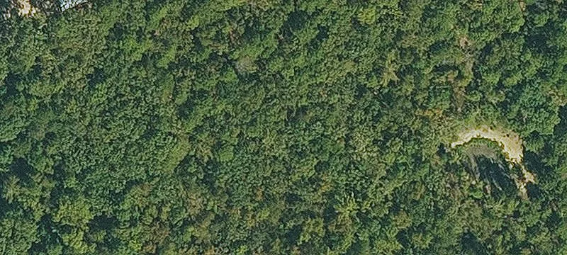 Wooded Residential Land Parcel