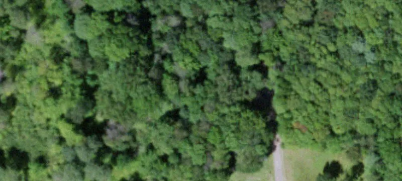 Wooded Private Building Lot