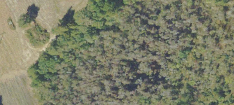 Recreational and Farmland Tract