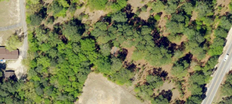 Wooded Commercial Land Parcel