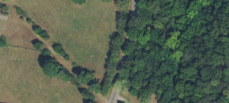 Contiguous Cattle Pasture Acreage