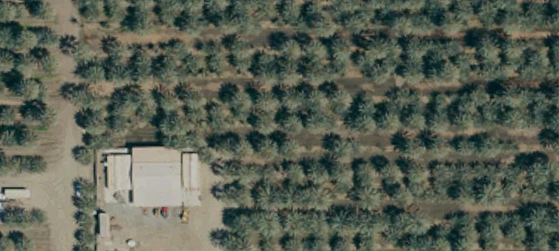 Fully Equipped Date Farm Property