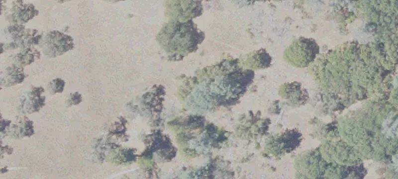 Agricultural Land Parcel