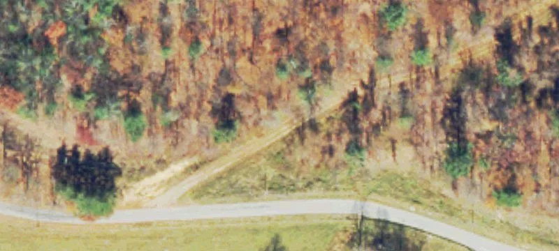 Recreational Hunting Land Tract