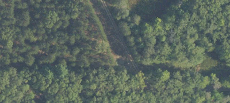 Wooded Hunting Land Parcel