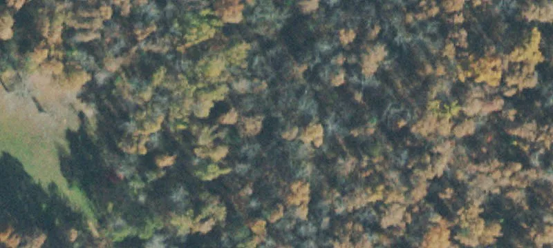 Wooded Agricultural Land with Barn