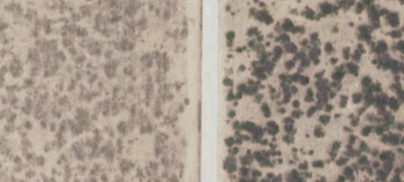 Ranch Land with Hunting Amenities
