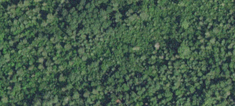 Hunting Land with Mississippi Creek