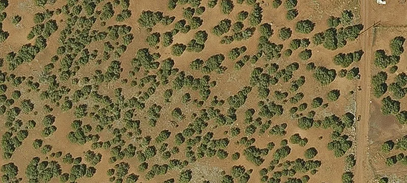 Level Residential Land Lot