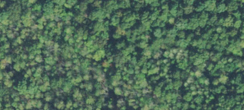 Hunting Retreat with Cabin