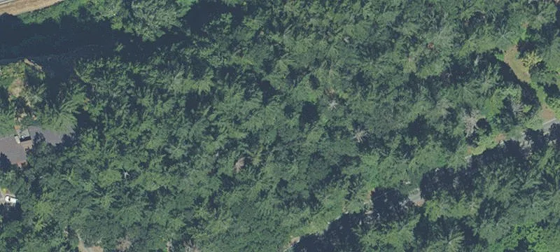 Ready-to-Build Bluff Home Lot