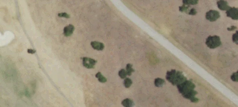 Wooded Homesite in Private Retreat
