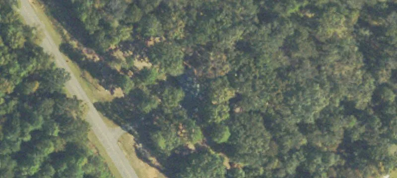 Wooded Acreage with Multi-Road Access