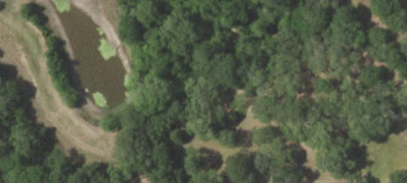 Equestrian Ranch Property with Vineyard