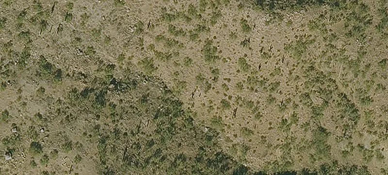 Ranch Property with Year-Round Creek