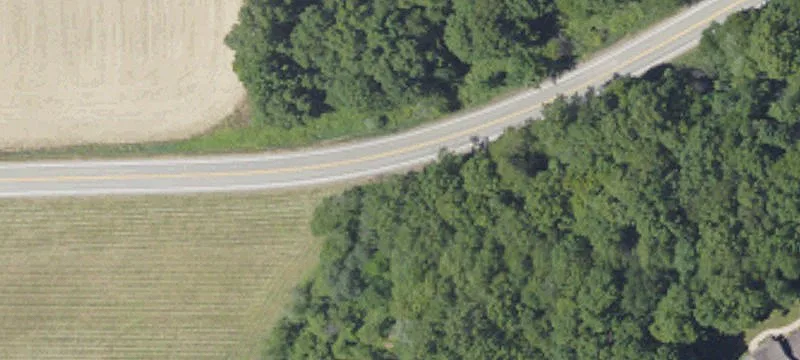 Wooded Residential Land Lot