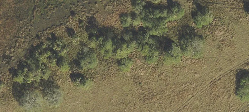 Cleared Agricultural Land with Utilities