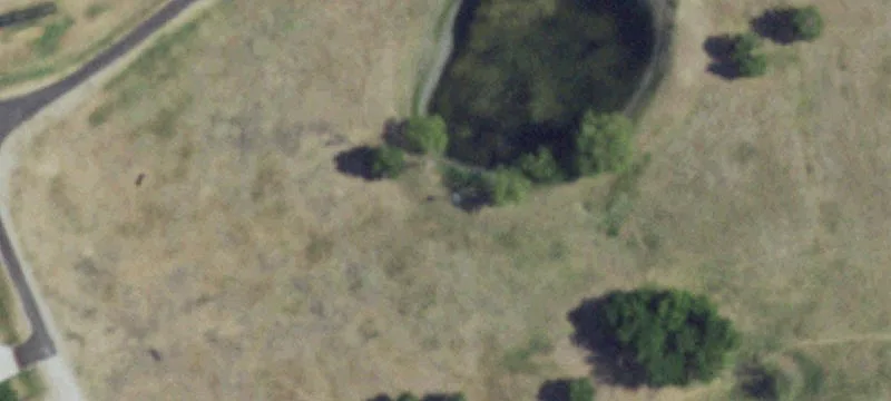 Partially Fenced Acreage with Creek