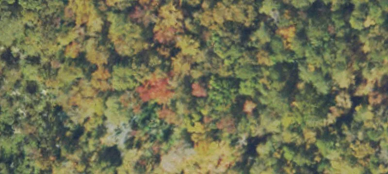 Wooded Residential Land Parcel