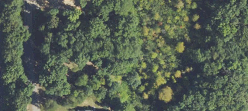 Buildable Recreational Hunting Land