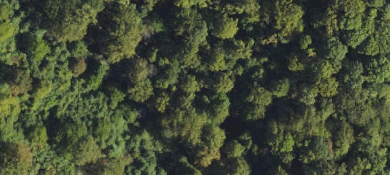 Private Mountain Acreage