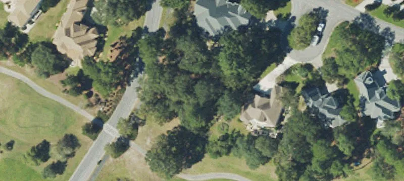 Residential Land Homesite with Trees