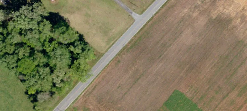 Timber and Farmland Tract