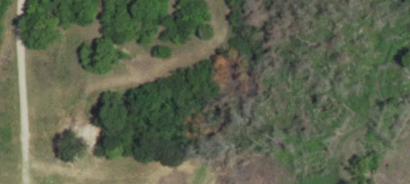 Fenced Waterfront Land Tract