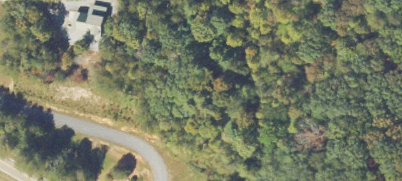 Custom Home Lot with Road Access