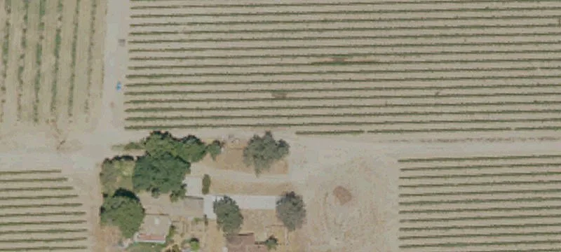 Ranch with Producing Grape Vineyard