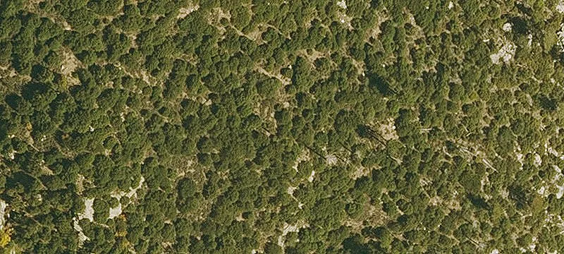 Flat Buildable Land Parcel