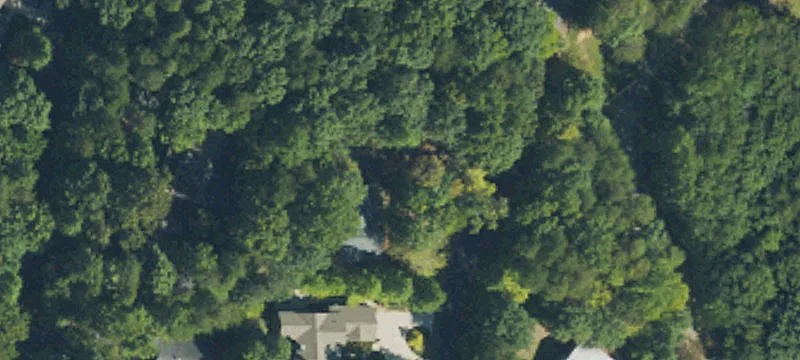 Wooded Mountain View Homesite