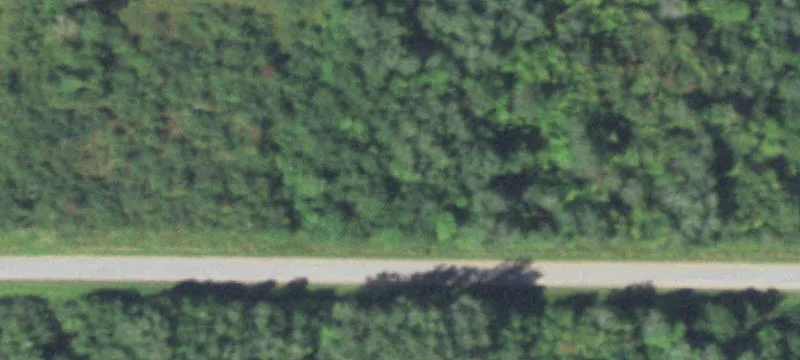 Waterfront Hunting Land Parcel
