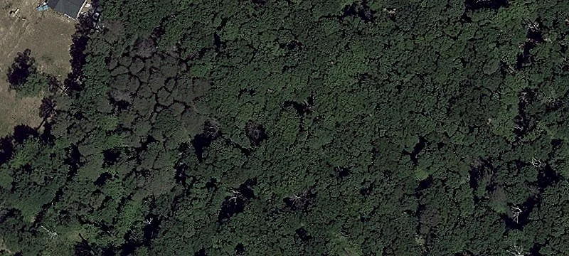 Forested Conservation Land Parcel