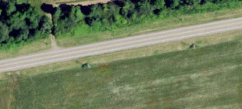 Recreational Hunting Land with Cabin