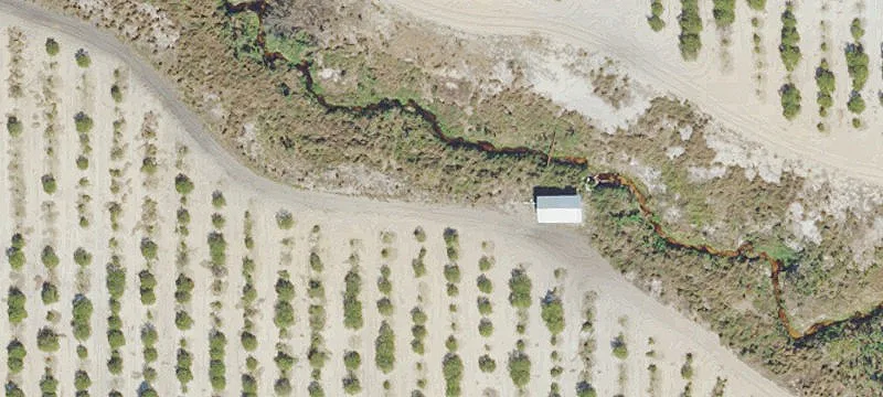Citrus Grove Acreage