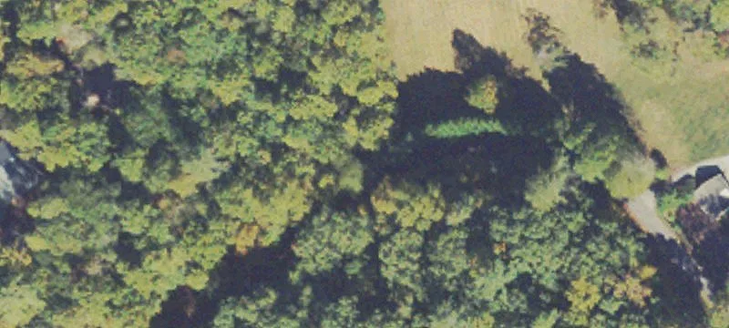 Wooded Residential Development Lot