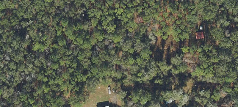 Wooded Hunting Land Lot