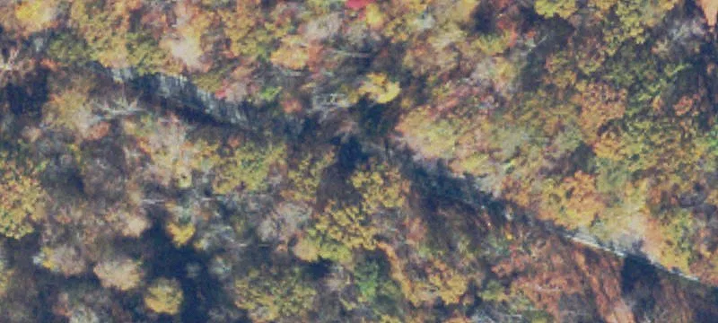 Wooded Land Parcel with Stream