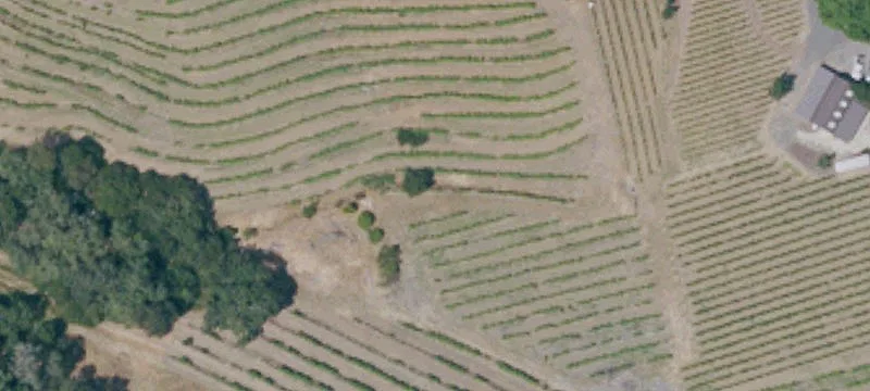 Napa Valley Vineyard Estate Property