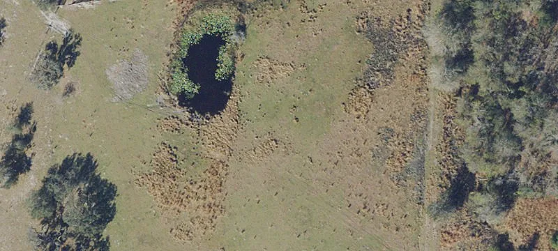Ranch with River Border