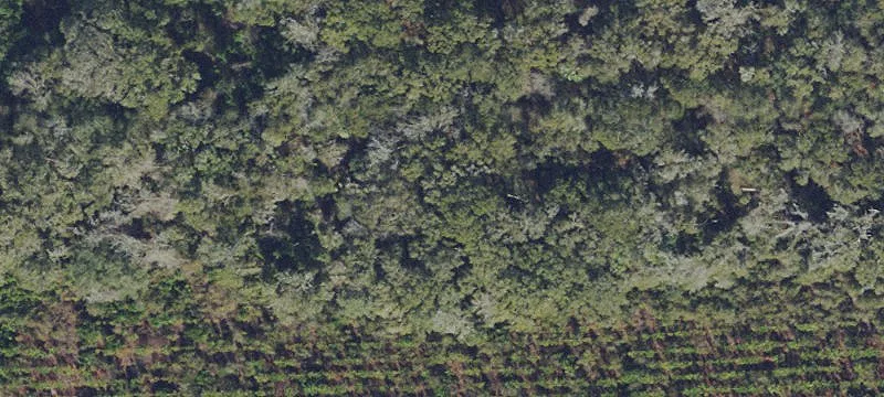 Estate Homesite Land Parcel