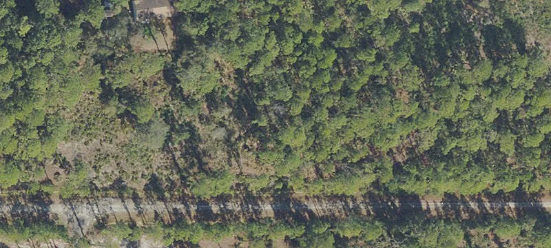 Zoned Residential Wooded Lot